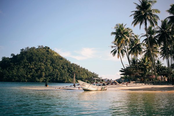 Explorez les sentiers emblématiques pour des aventures mémorables au cœur des superbes montagnes de wicklow en irlande !